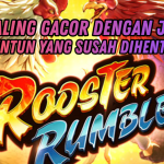 ROOSTER RUMBLE MAXWIN DENGAN POLA TERPERCAYA